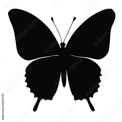 butterfly isolated on white background