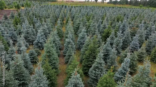 plant nursery