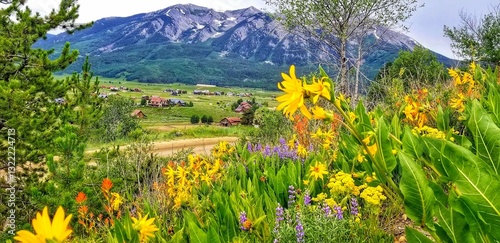 Cuadro en lienzo Spring Wildflowers in Crested Butte Mountain Valley