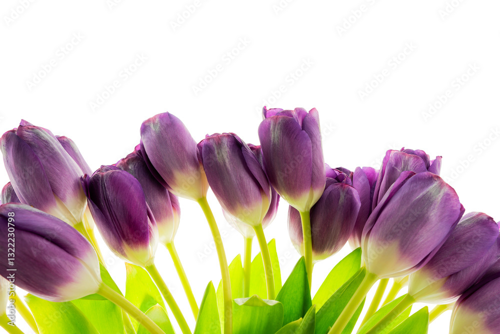 Elegant bouquet of purple tulips with fresh green leaves arranged for decoration or gifting in a bright setting