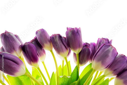 Obraz na płótnie Elegant bouquet of purple tulips with fresh green leaves arranged for decoration or gifting in a bright setting w salonie