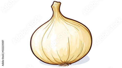 Illustration of a Single White Onion