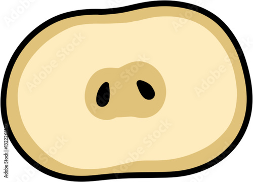 배