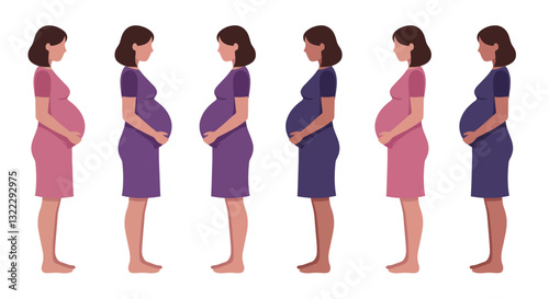 Pregnant woman stages of development in flat vector illustration style vector art