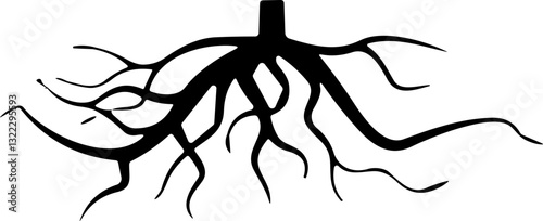 Tree root silhouette icon vector set. Taproot and fibrous root system plant collection. Realistic underground root structure group for agriculture, forest, botany, biology, and ecosystem illustrations