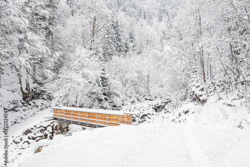Obraz na płótnie Small footbridge over mountain river, winter landscape on mountain hiking trail. Snowy trail and trees on winter day. w salonie