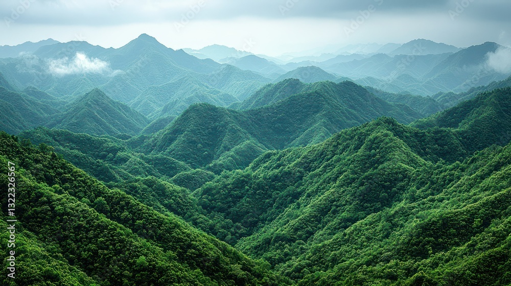 Fototapeta premium Serene Panorama of Verdant Mountains