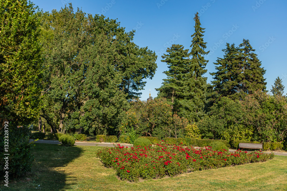 Obraz premium Lush green park with a vibrant rose flowerbed, tall trees, and a wooden bench under a clear blue sky. A domed building is visible in the background through the foliage. 