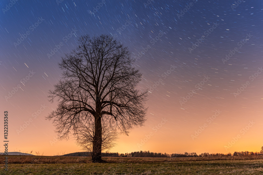Night landscape, one tree against the stars, the earth's rotation. Long exposure of the night sky.