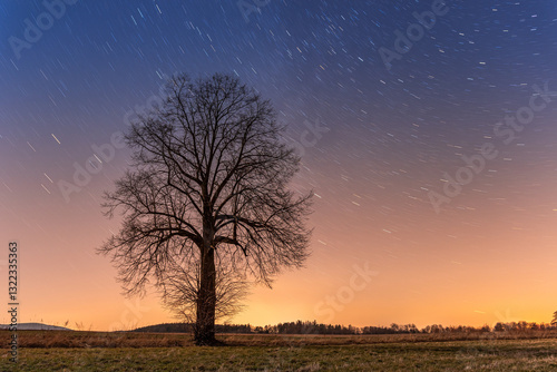Obraz na płótnie Night landscape, one tree against the stars, the earth's rotation. Long exposure of the night sky. w salonie