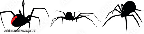 Spiders, outline vector drawing. Set of poisonous spiders of different species