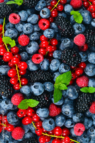 Wallpaper Mural Blackberry, raspberry, blueberry,  red currant and mint background. Torontodigital.ca