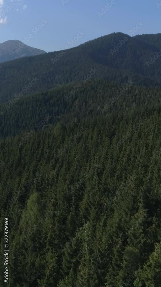 Lush green forest nestled in the mountains, surrounded by springtime nature greenery and a serene valley in the aerial view. Vertical video. Lush green forest nestled in the mountains, surrounded by springtime nature greenery and a serene valley in the aerial view. Vertical video.