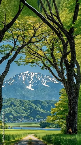 Serene mountain view framed by lush green trees in a tranquil landscape