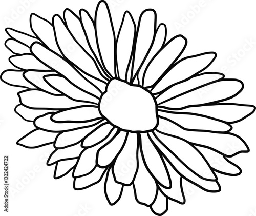 one line fleur de souci uniligne