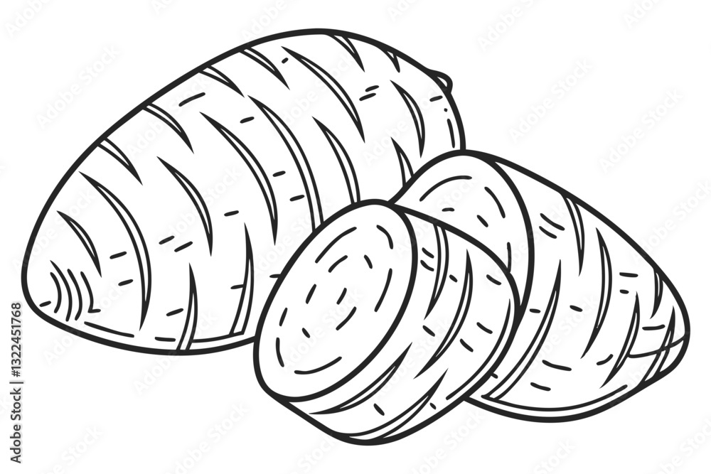 Taro Root Vector Art. Detailed Illustration of a Tropical Root Taro Root Vector Art. Detailed Illustration of a Tropical Root