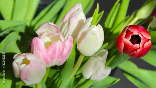  tulip in a bouquet