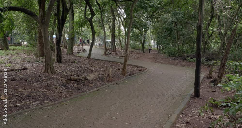 Path inside the public park Parque Areiao in Goiania, Brazil Path inside the public park Parque Areiao in Goiania, Brazil
