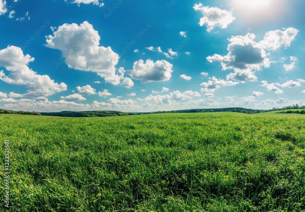 Expansive Green Meadow Under Bright Blue Sky with Fluffy White Clouds and Warm Sunlight in a Picturesque Natural Landscape Scene Expansive Green Meadow Under Bright Blue Sky with Fluffy White Clouds and Warm Sunlight in a Picturesque Natural Landscape Scene