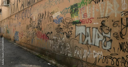 Street art and graffiti in a small side street in Goiania in Brazil