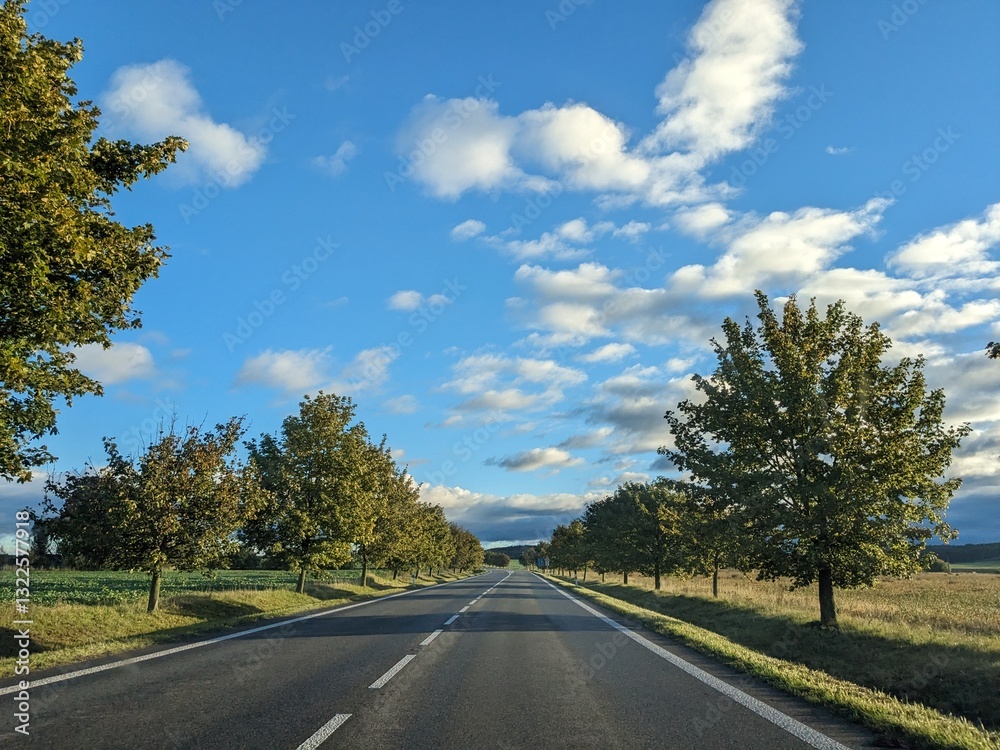 Fototapeta premium Straight SPRING ROAD lined with trees, blue sky and cumulus clouds, peaceful rural landscape in early spring