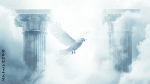 White dove fly over bible holy spirit roll bible tomb peace freedom. Purity Noah ark covenant new testament old testament baptism. Jesus Baptist gospel symbolism god heaven grace hope love spirit. photo