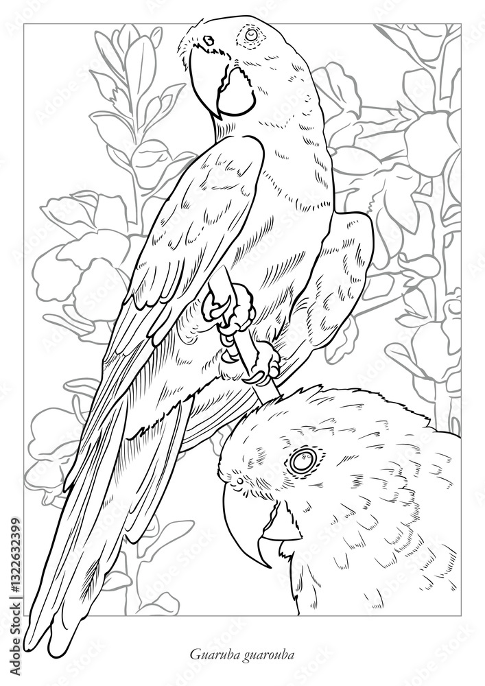 Obraz premium adult golden conure in a branch