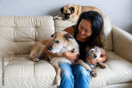 Portrait many dogs