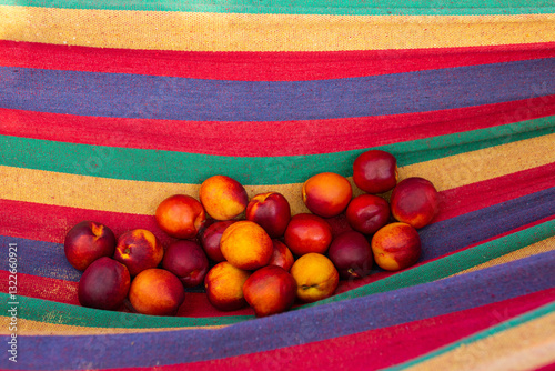 nectarines in a hammock photo