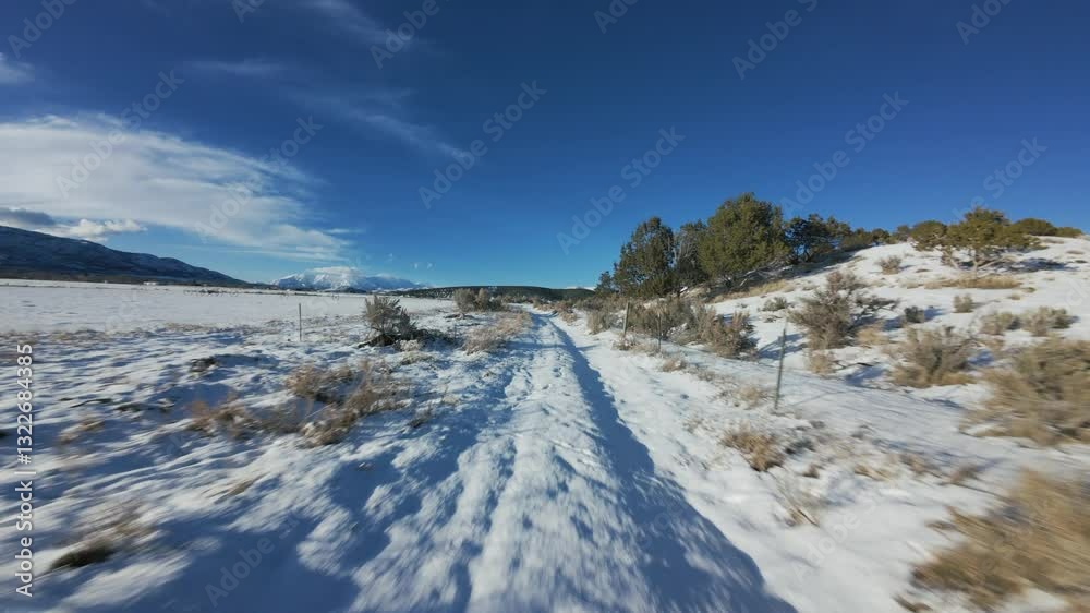 Aerial-FPV-First person view-Flying low and fast over snowy sagebrush lined country road toward a dark blue sky passing long shadows from the setting sun Aerial-FPV-First person view-Flying low and fast over snowy sagebrush lined country road toward a dark blue sky passing long shadows from the setting sun