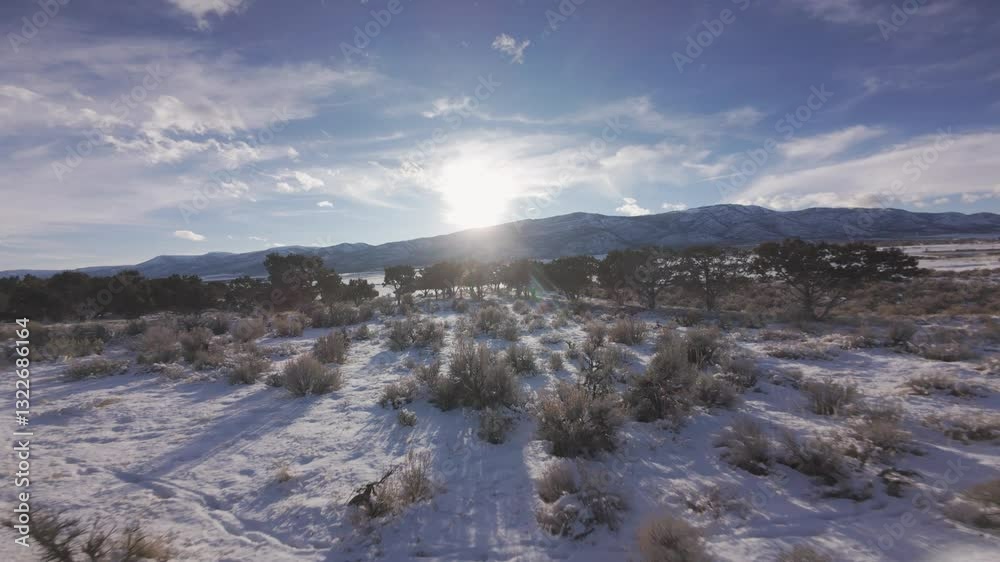 Aerial-First person view - FPV - Flying low over sagebrush hill top to cedar trees and toward the flare of the setting sun over long evening shadows Aerial-First person view - FPV - Flying low over sagebrush hill top to cedar trees and toward the flare of the setting sun over long evening shadows