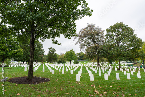 Arlington National Cemetery showing headstones and trees photo