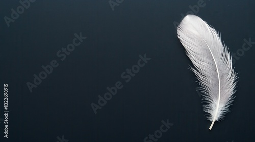 Elegant smooth black surface featuring a single white feather softly resting in a minimalistic display of natural beauty