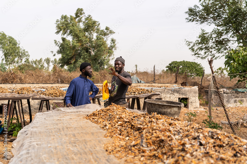 Senegalese fishers discussing next to artisanal dried fish production Senegalese fishers discussing next to artisanal dried fish production