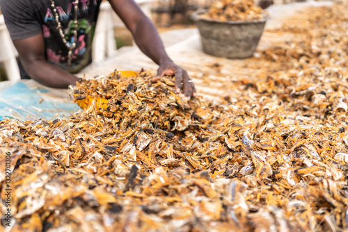 Artisanal Fish Drying Process in Senegal Market