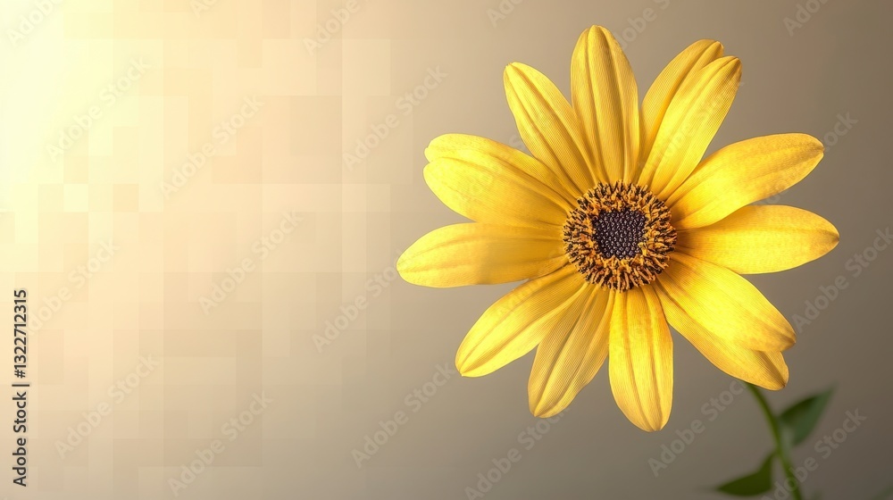 Obraz premium Yellow Flower in Soft Light
