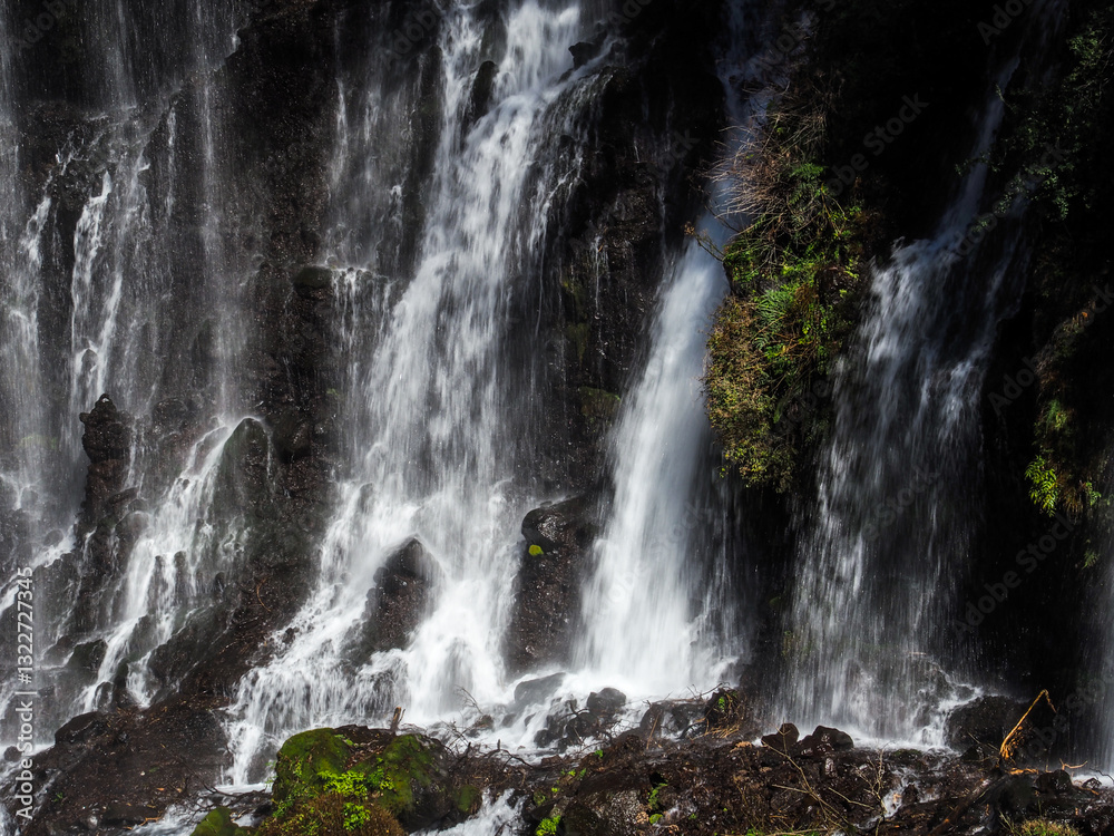 Obraz premium 白糸の滝