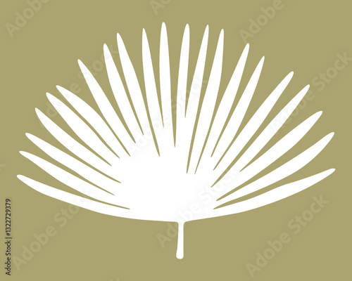 silhouette tropical fan palm leaves