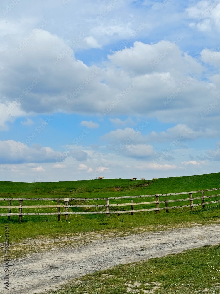 Scenic countryside field with blue skies Scenic countryside field with blue skies