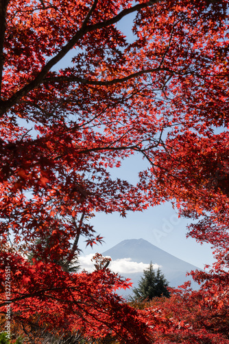 Fuji mountain framed by autumn leaves foliage