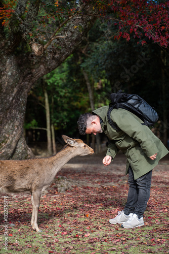 Tourist and deer bowing to each other in Nara Park