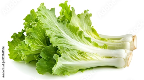 escarole endive isolated on a white background