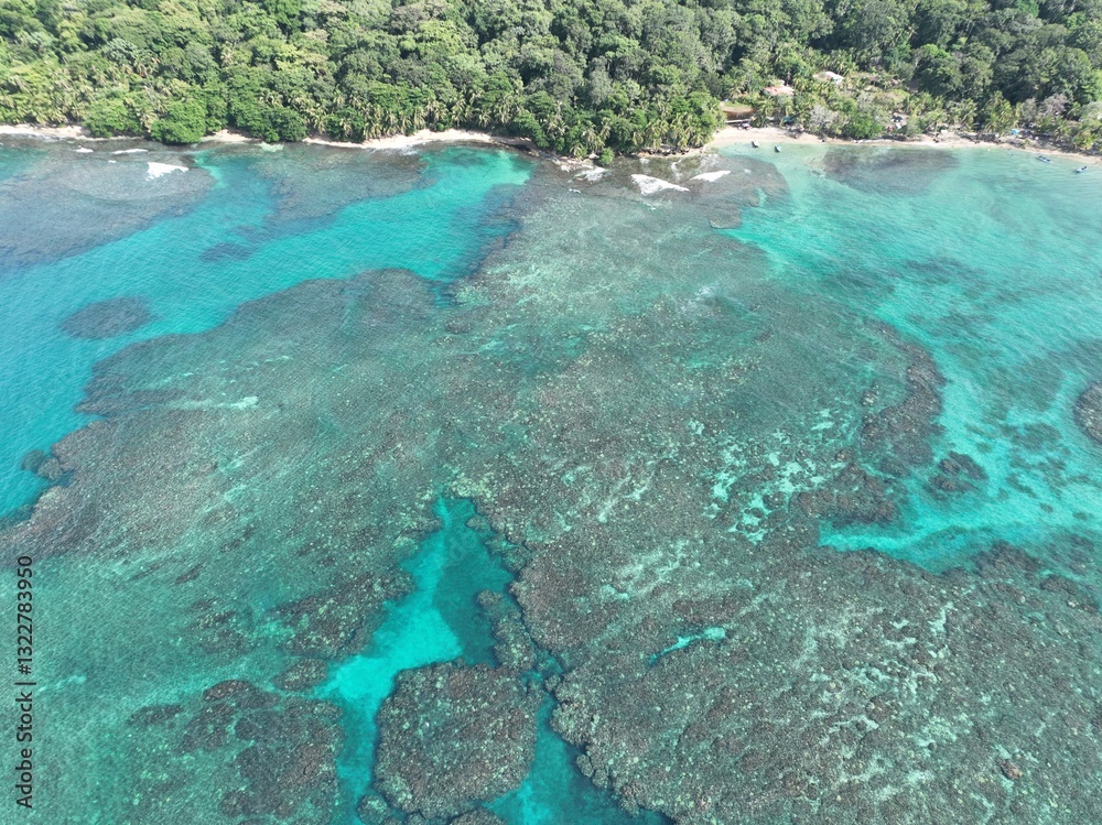 Playa Cocles and Limon: Caribbean Coral Reef View