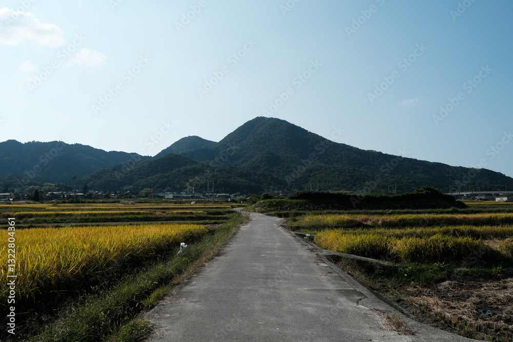 Fototapeta premium 二上山と田園