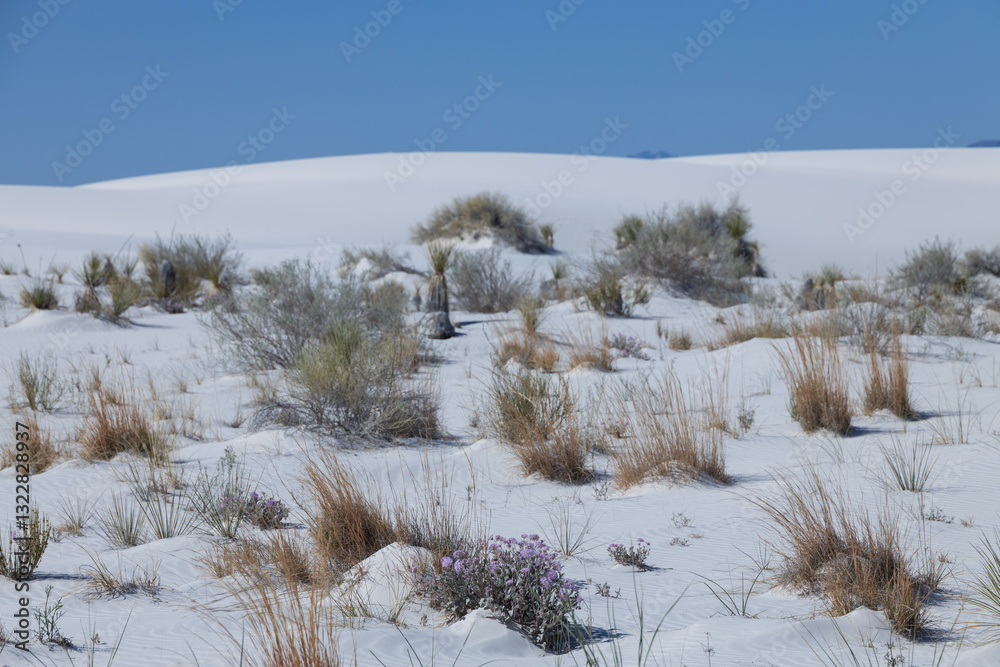 Sand dunes at White Sands National Park, New Mexico Sand dunes at White Sands National Park, New Mexico