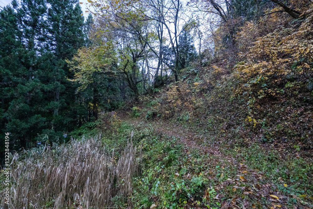 Obraz premium Historic old road “Salt Road” which is also a long distance hiking course and its surroundings