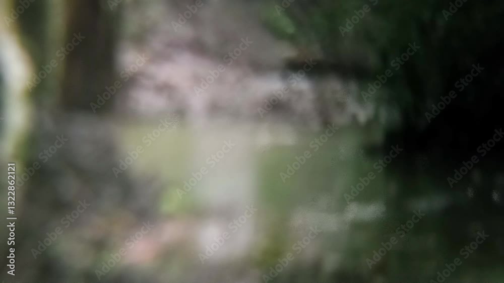 Blurred view nature green bokeh background. rainy day. Blurred view nature green bokeh background. rainy day.