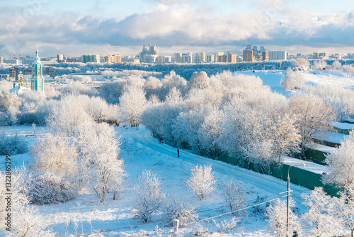 Winter landscape with snow-covered trees and a distant Moscow city