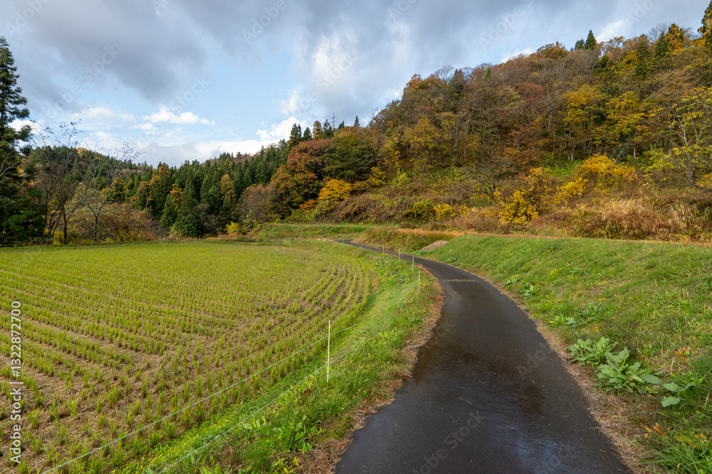 Fototapeta premium Historic old road “Salt Road” which is also a long distance hiking course and its surroundings