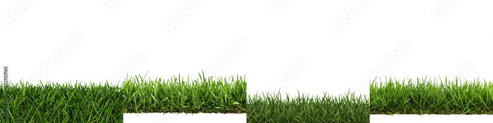 Fototapeta premium Vibrant lush green grass carpet covering the ground in a scenic serene natural landscape Peaceful outdoor environment with fresh organic foliage and vegetation
